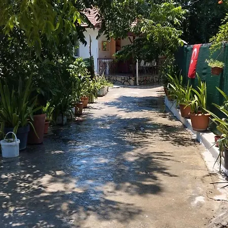 Egedeki Eviniz * Koycegiz (Mugla)